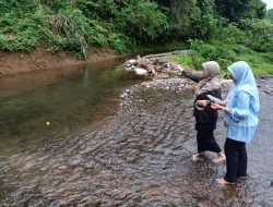 DINAS PERIKANAN SUKABUMI TINJAU LOKASI RESTOCKING IKAN DI CURUG MANGLID CIDAHU