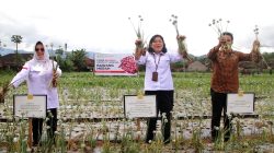 PANEN AIR MATA DI SASAGARAN, DIREKTORAT KEMENTAN ” BAWANG MERAH PROSPEKTIF DUKUNG AGROWISATA”