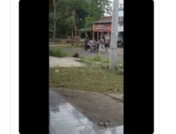 Video Viral Perampokan Bersenjata Di Cilacap,  Pemilik Toko dan Warga Ditembak