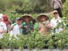 PANEN RAYA EDAMAME, SINERGITAS YANG BAIK MENGUNTUNGKAN DAN MENSEJAHTERAKAN