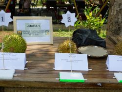 Cikidang Festival Durian, Bupati “Citarasa Durian Layak Dijadikan Ikon”.