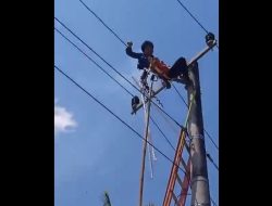 Video Petugas Lapangan PLN di Kendari Tersengat Listrik Tegangan Tinggi, Diduga Kurang Koordinasi