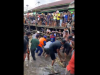 Video, Buaya Raksasa Pembunuh Anak SD di Kalimantan Tengah Berhasil Ditangkap, Benarkah Buaya Peliharaan ?