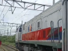 Video Tak Menyadari Berada Di Jalur Rel Ganda, Railfans Tewas Saat Merekam Kereta Api Yang Melintas