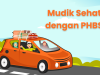 Kemenkes Himbau Waspadai Flu Singapura dan DBD Selama Mudik Lebaran