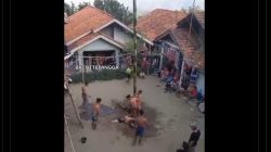 Video Insiden Panjat Pinang, Jatuh dan Tertindih Peserta Lain, Sehari Berikutnya Meninggal di Brebes