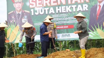 Penanaman Jagung Serentak 1 Juta Hektar