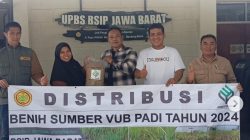 BSIP Jawa Barat Serahkan Bantuan Benih VUB Padi Untuk Kabupaten Sukabumi