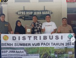 BSIP Jawa Barat Serahkan Bantuan Benih VUB Padi Untuk Kabupaten Sukabumi