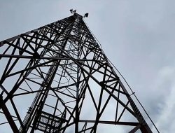 DPMPTSP Kab Sukabumi Lakukan Investigasi Lapangan, Terkait Pembangunan Tower Tanpa Izin