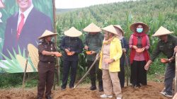 Kadiskan Kab Sukabumi Hadiri Penanaman Jagung Serentak 1 Juta Hektar