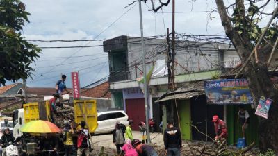 Tindak Lanjuti Usulan Warga, Camat Palabuhanratu Bersama Lintas Sektor Tebang Pohon Ketapang