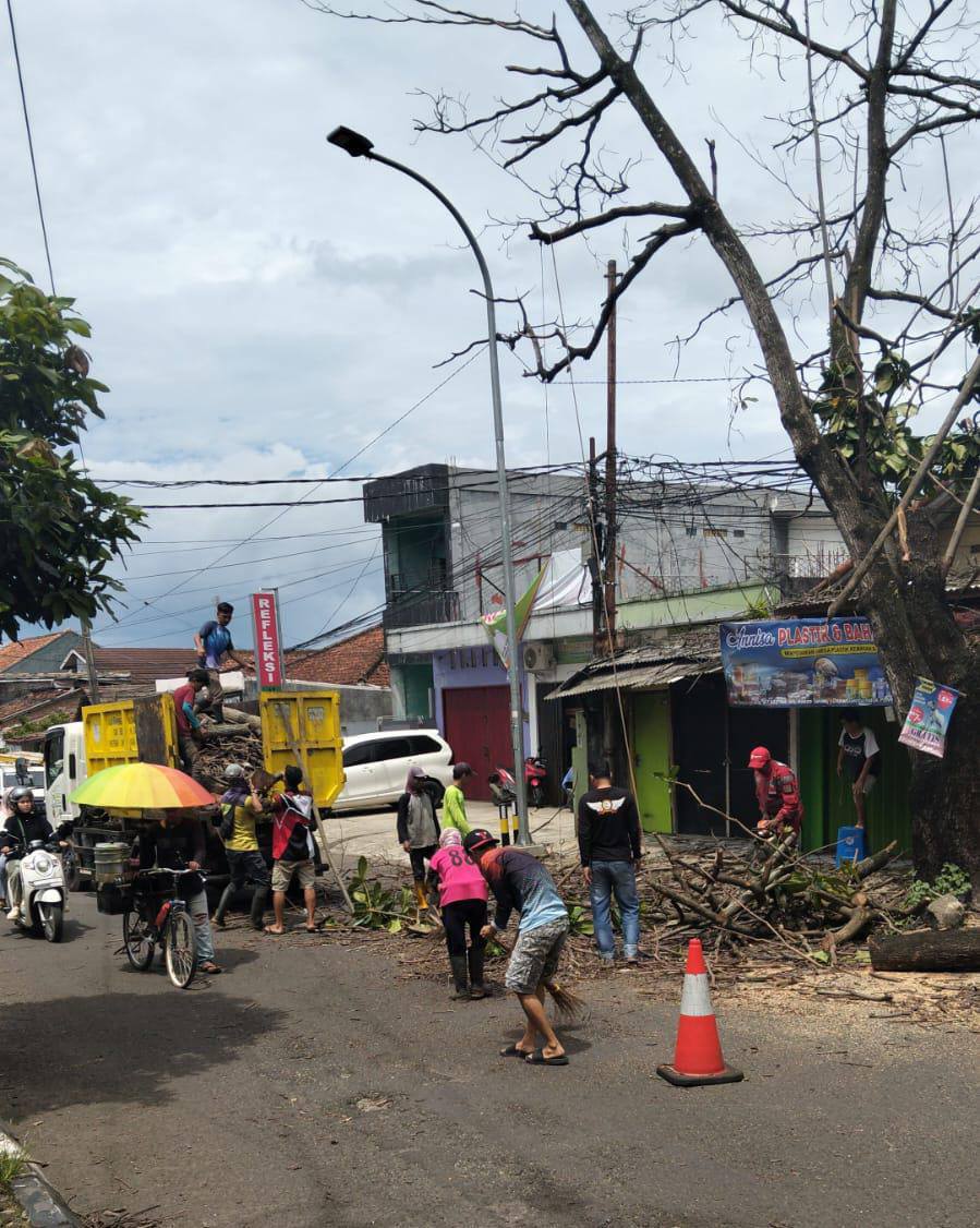 Tindak Lanjuti Usulan Warga, Camat Palabuhanratu Bersama Lintas Sektor Tebang Pohon Ketapang