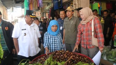 Diskan Kabupaten Sukabumi Pantau Stok dan Harga Ikan di Pasar Cisaat