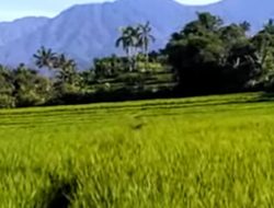 Menjaga Ketahanan Pangan Nasional, Distan Kab Sukabumi Siap Sukseskan Target LTT