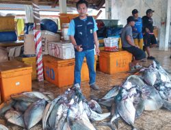 Terkait Penataan TPI Palangpang, Kadiskan Kab Sukabumi Tegaskan Komitmennya