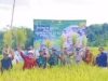 Kadistan Sampaikan Keberhasilan Produksi Tanaman Pangan di Kabupaten Sukabumi