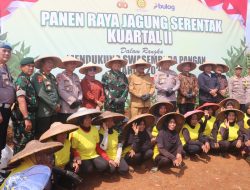 Kadistan Dampingi Bupati Sukabumi Pada Panen Raya Jagung di Warungkiara