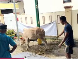 Disnak Kab. Sukabumi Gelar Pelatihan Juleha, Kadis” Memastikan Kesehatan Hewan Kurban