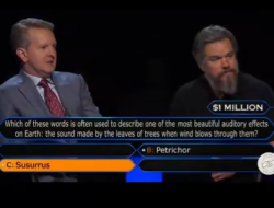 Aktor Matt Damon dan Ken Jennings Menangkan 1 Juta Dolar di Who Wants to Be a Millionaire Disumbangkan