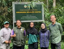 Jelang Translokasi Orangutan ke Kaltim, Disnak kab Sukabumi Lakukan Observasi