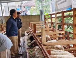 Monitoring Peternakan, Disnak Kab Sukabumi Terus Pastikan Kesehatan Hewan Ternak Terjaga