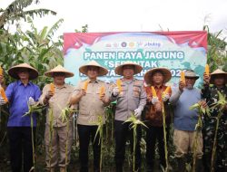 Anggota DPRD Hadiri Panen Raya Jagung Serentak Kuartal I