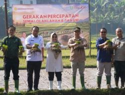Gerakan Percepatan Semai, Olah Lahan Dan Tanam, Kab Sukabumi Masuk Fase Swasembada Berkelanjutan
