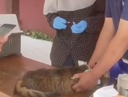 Disnak Kab Sukabumi Tingkatkan Kesadaran Masyarakat Pentingnya Vaksinasi Rabies