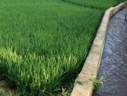 Dinas PU Kab Sukabumi Ungkapkan Saat ini Sebagian Besar Jaringan Irigasi Berada Dalam Kondisi Baik.