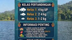 Dorong Potensi Perikanan,  Diskan Kab Sukabumi Gelar Mini Show Tilapia Terbesar