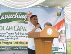 Wabup Launching Sekolah Lapang Penerapan TanamPadi PM-AAS Di Cijambe Girang Cisaat